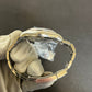 N/A 116509 Meteorite, New Buckle Preowned Watch Only -1